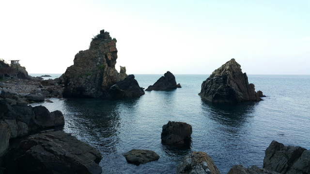 1505016691159.jpg